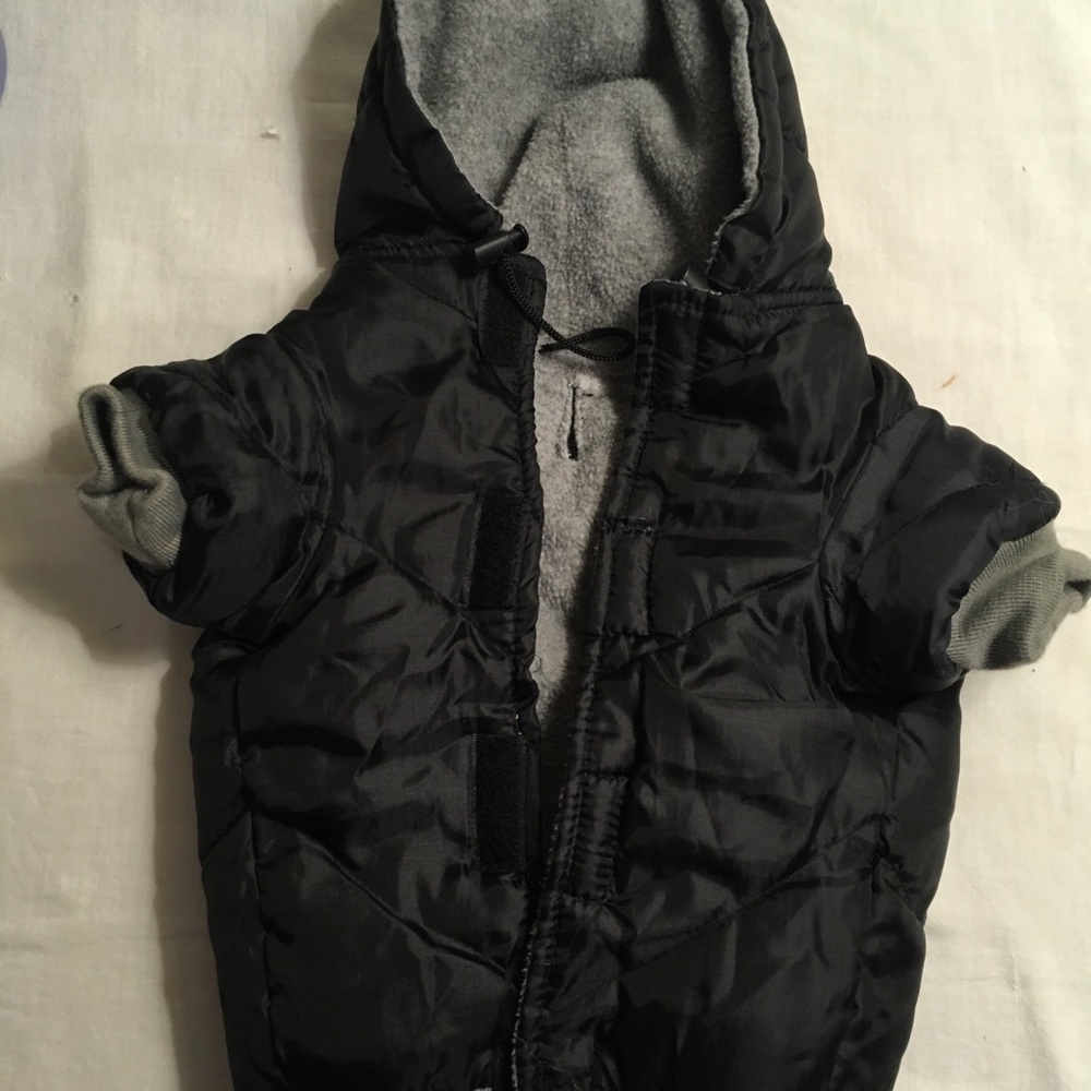 Dog Coat